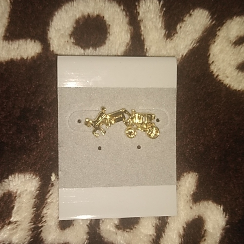 Small coach earrings